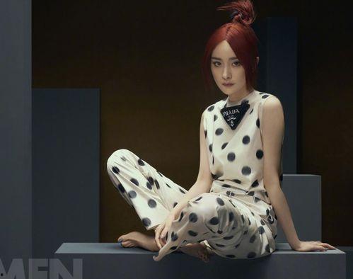 红发剧场最新爆料新闻,最新爆料新闻背后的惊人真相